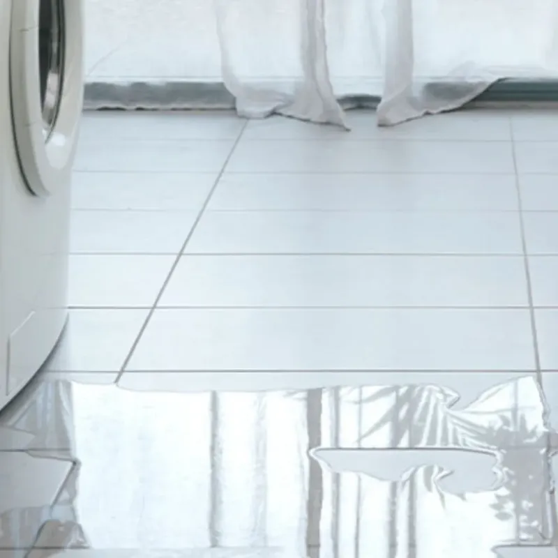Appliance Leak Cleanup in Adamsville, AL