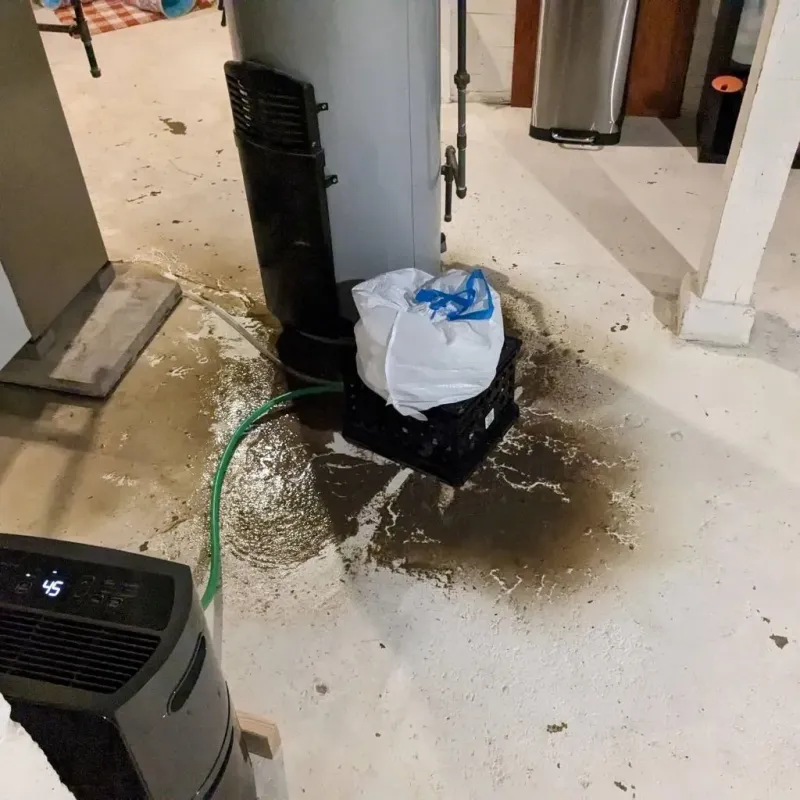 Sewage Backup Cleanup Service in Adamsville, AL